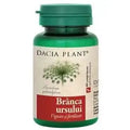 BRANCA URSULUI 60 CAPSULES