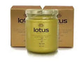 male supplements, potency pills, libido boost, vitality enhancement, erectile dysfunction treatment, natural aphrodisiac, honey for vitality, stamina boost, male vitality, sexual wellness, natural energy, herbal libido booster