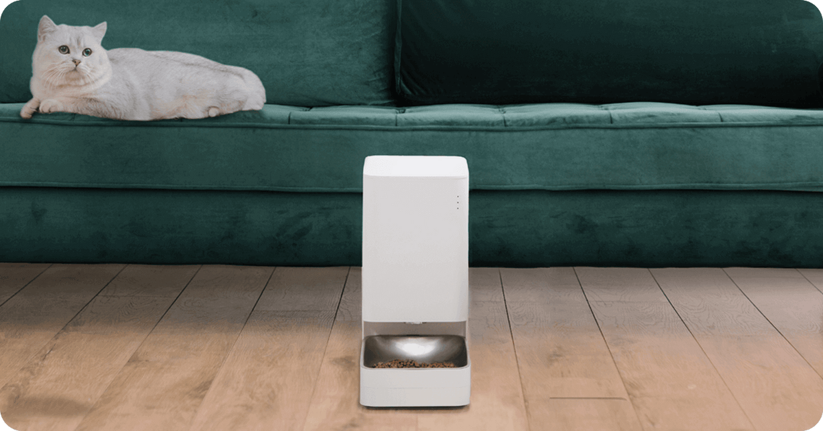 Xiaomi Smart Pet Feeder with app control beside a relaxed cat on a couch, offering automatic feeding convenience.