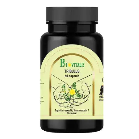 male supplements, potency pills, libido boost, vitality enhancement, erectile dysfunction treatment, natural aphrodisiac, honey for vitality, stamina boost, male vitality, sexual wellness, natural energy, herbal libido booster